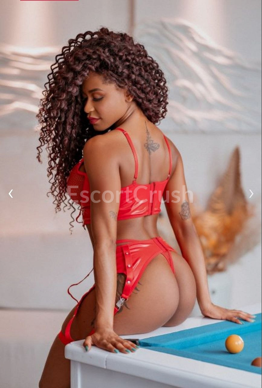 Nicole photo 4 of 6 — escorts, Miami, Florida