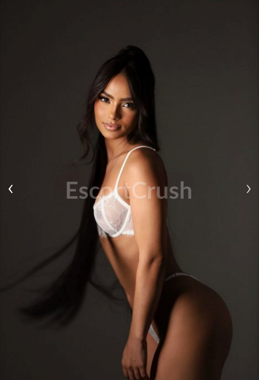 Rafaela photo 3 of 7 — escorts, Miami, Florida