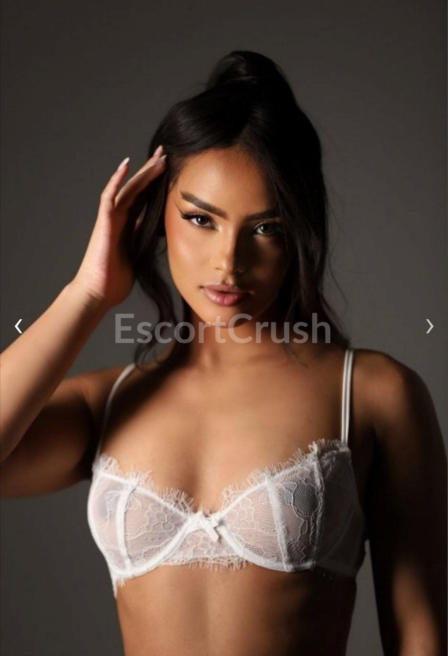 Rafaela photo 4 of 7 — escorts, Miami, Florida